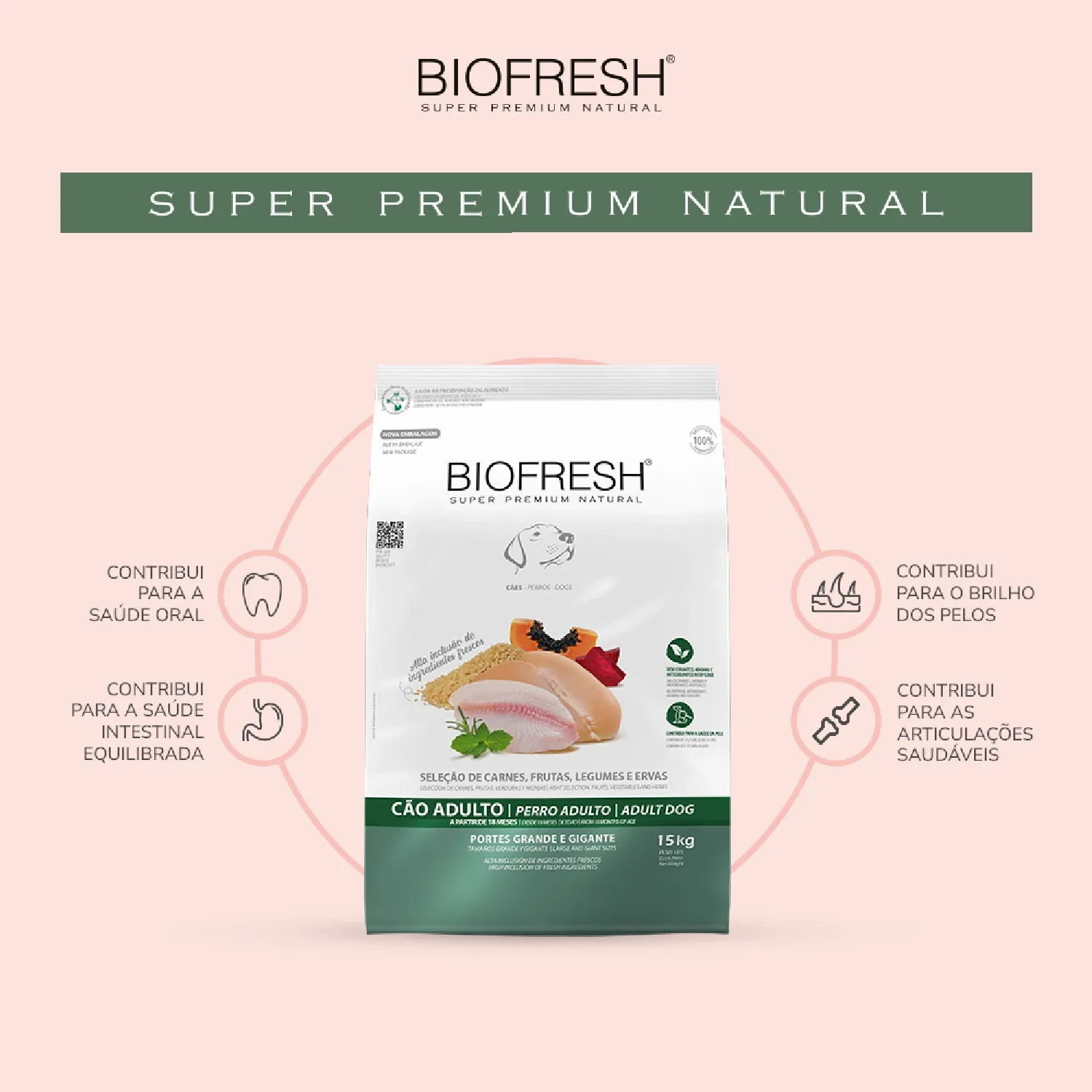 Ração Biofresh Cães Adultos Raças Grandes e Gigantes
